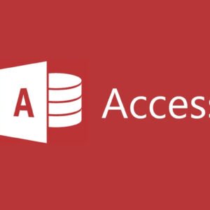 Access Mastery: From Beginner to Expert Database Management